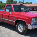81-82 Chevrolet C20 Silverado